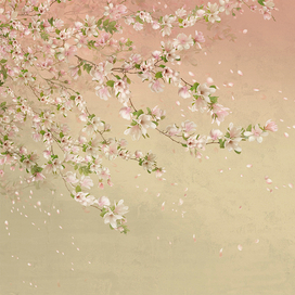 Магнолия желтая