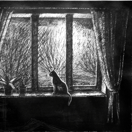 кот на окне