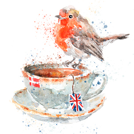 Птичка робин. 