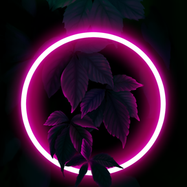 Листья в неоне 