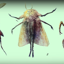 Концепты существ