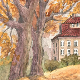 Осенние дни