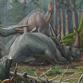 Новое поколение.