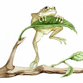 Для детской книги 2