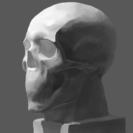 Гипсовый череп