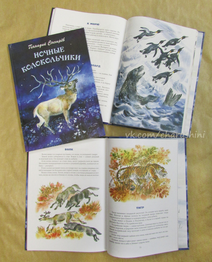 Рисунок на переплёт и иллюстрации к сборнику рассказов Г. Снегирёва "Ночные колокольчики"