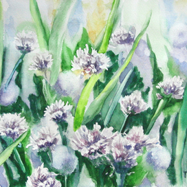 Сиреневые полевые цветы