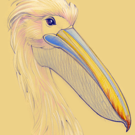 Цапля Глаша