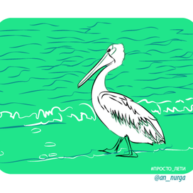 пеликанка