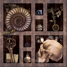 Cabinet of curiosities 