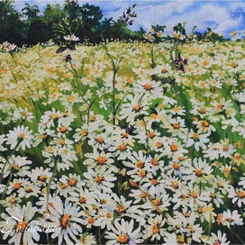 Ромашковое раздолье (фрагмент)