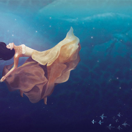 Песнь китов