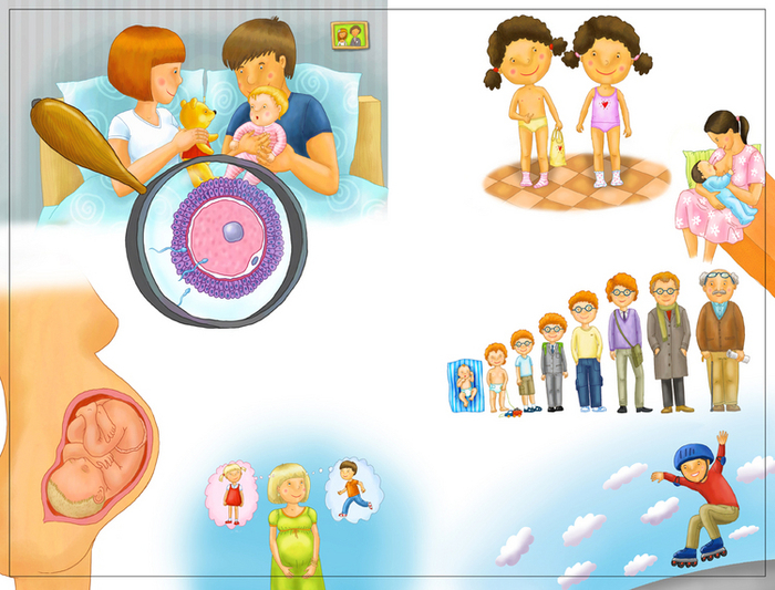 Про это. в книгу не включили.