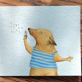 собака дующая на одуванчик