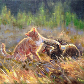 Солнечные игры