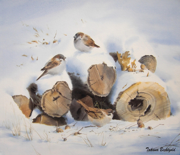 Воробьишки