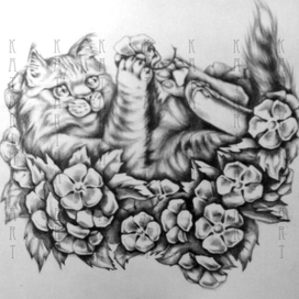 Кот. Открытка.