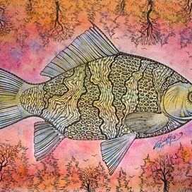 "рыба летящая над лесом розовой зимой"