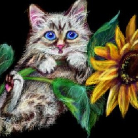 Котёнок на подсолнухе | Нраффити