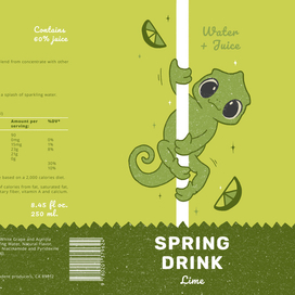Упаковка лимонада «Spring Drink»