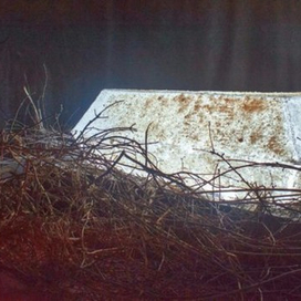 Соляной гроб (coffin made of salt, art object)