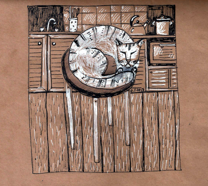 Кошка перфекциониста