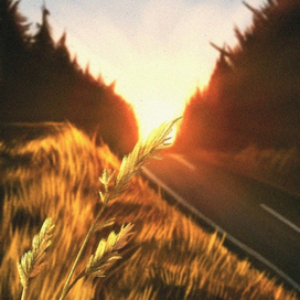 Край родной