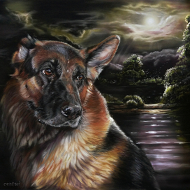 Там не страшно