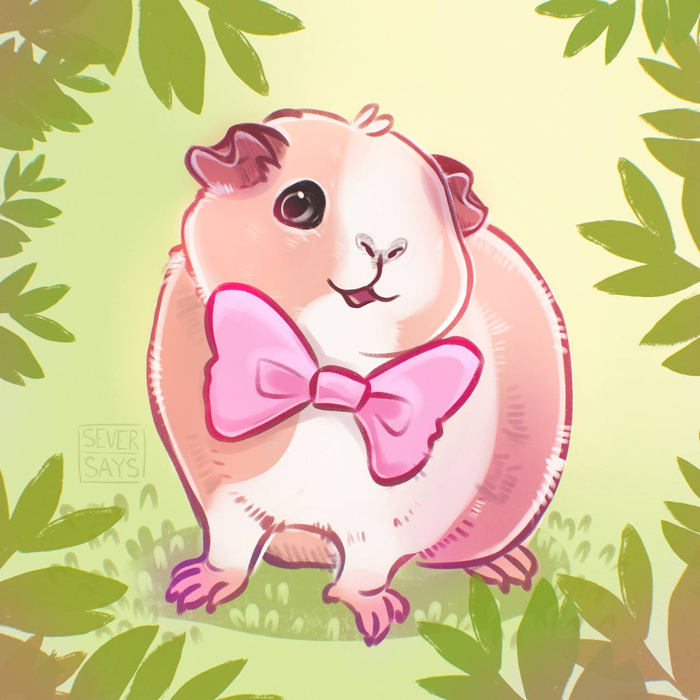 Guineapig 