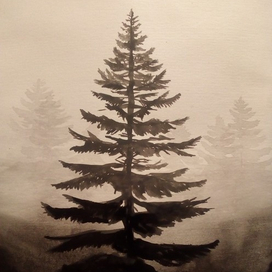 туманное утро