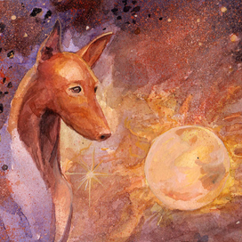 Страж поднебесной