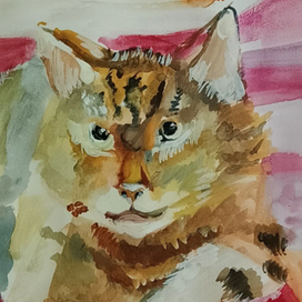   Утро доброе