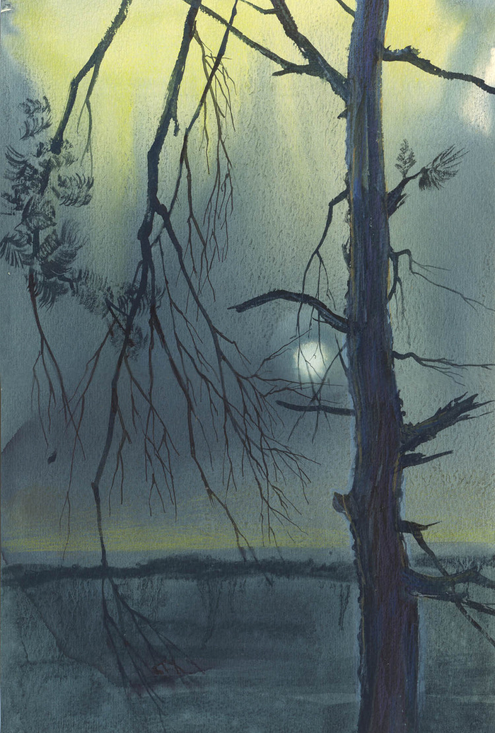 сумерки над озером Свитязь