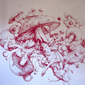 Ядовитые грибы ядовиты