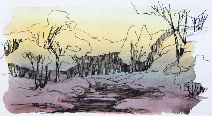 Лес в зарисовках