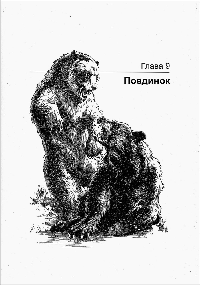 ГРИЗЛИ. Поединок