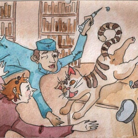 Кот на приеме у врача