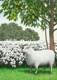 Для упаковки  "BIO-SOFT  с корицей "