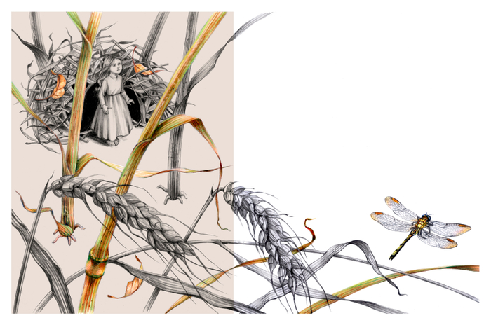 Дюймовочка. рис 22