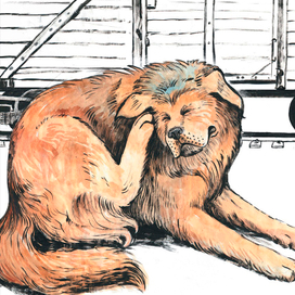 "Багаж" С. Маршак