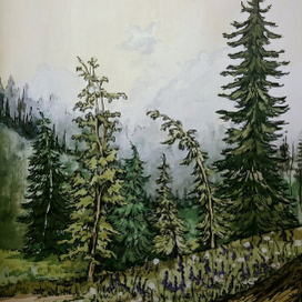 "Дыхание леса" 