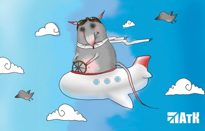 мышка в самолете. Для "АтК"