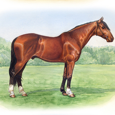 Мой табунчик :)