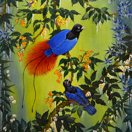 Райские птицы
