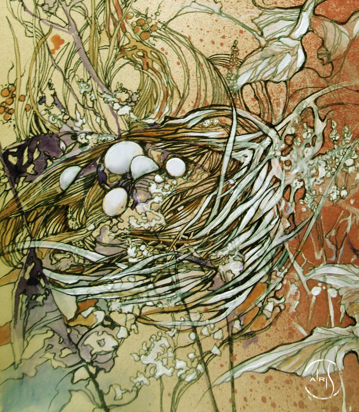 ∙✧Wild bird✧∙