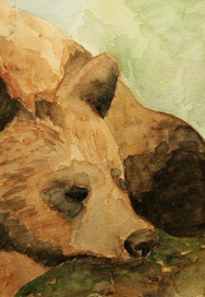 Спящий мишка.