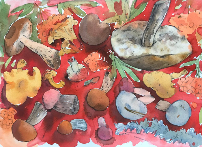 Грибной ковер