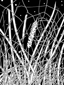 Первый снег