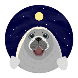 морской котик