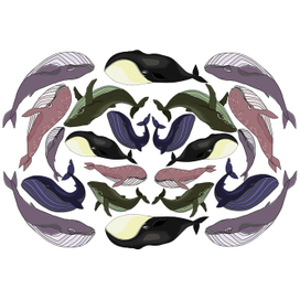 Китовая история